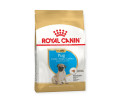 Royal Canin Pug Puppy корм для цуценят породи мопс - 1.5 кг