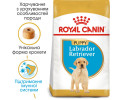 Royal Canin Labrador Retriever Puppy корм для цуценят породи лабрадор-ретривер - 3 кг