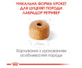Royal Canin Labrador Retriever Puppy корм для цуценят породи лабрадор-ретривер - 12 кг