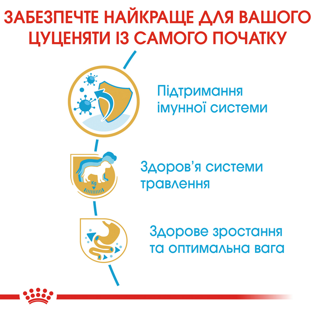 Royal Canin Labrador Retriever Puppy корм для цуценят породи лабрадор-ретривер - 12 кг