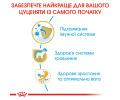 Royal Canin Labrador Retriever Puppy корм для цуценят породи лабрадор-ретривер - 12 кг