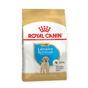Royal Canin Labrador Retriever Puppy корм для цуценят породи лабрадор-ретривер - 12 кг