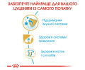 Royal Canin German Shepherd Puppy корм для цуценят породи німецька вівчарка - 3 кг
