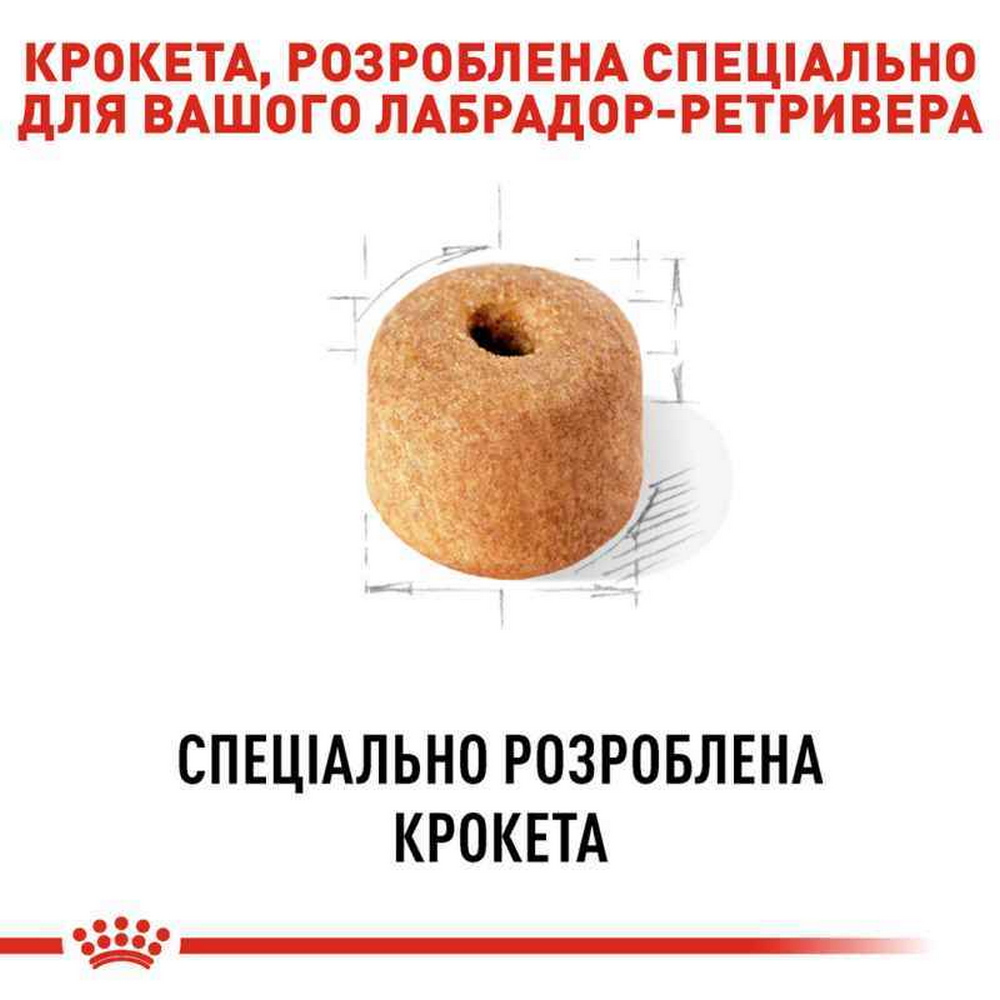 Royal Canin Labrador Retriever Adult корм для собак породи лабрадор-ретривер - 12 кг