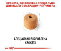 Royal Canin Labrador Retriever Adult корм для собак породи лабрадор-ретривер - 12 кг