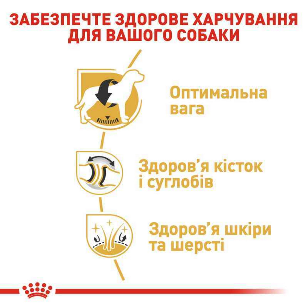 Royal Canin Labrador Retriever Adult корм для собак породи лабрадор-ретривер - 12 кг