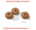 Royal Canin Mini Light Weight Care корм для собак малих порід із надмірною вагою - 3 кг