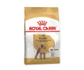 Royal Canin Poodle Adult корм для собак породи пудель - 500 г