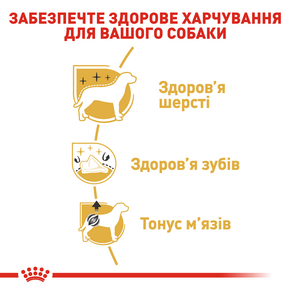 Royal Canin Poodle Adult корм для собак породи пудель - 500 г