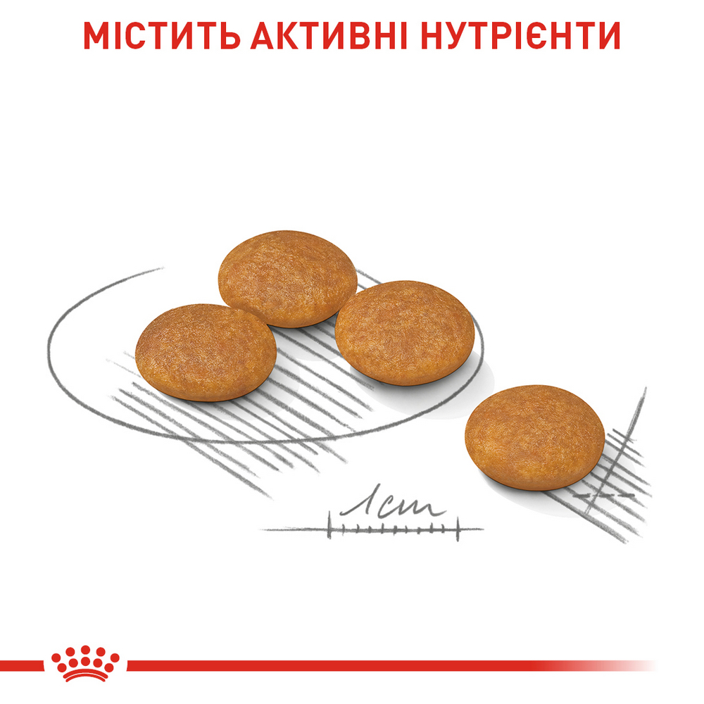 Royal Canin Mini Dermacomfort корм для собак малих порід з чутливою шкірою - 3 кг