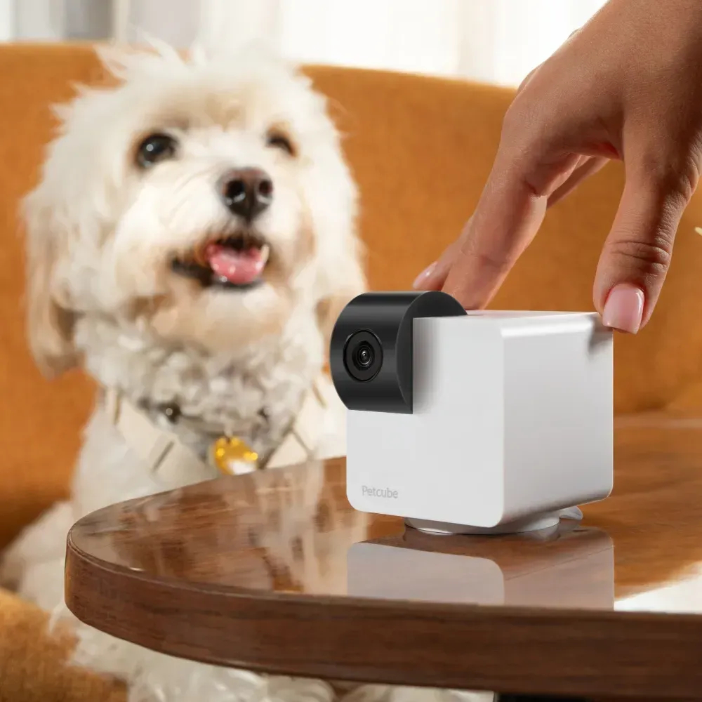 Petcube Cam 360 компактна HD-камера з двостороннім аудіозв'язком