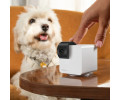 Petcube Cam 360 компактна HD-камера з двостороннім аудіозв'язком