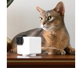 Petcube Cam 360 компактна HD-камера з двостороннім аудіозв'язком