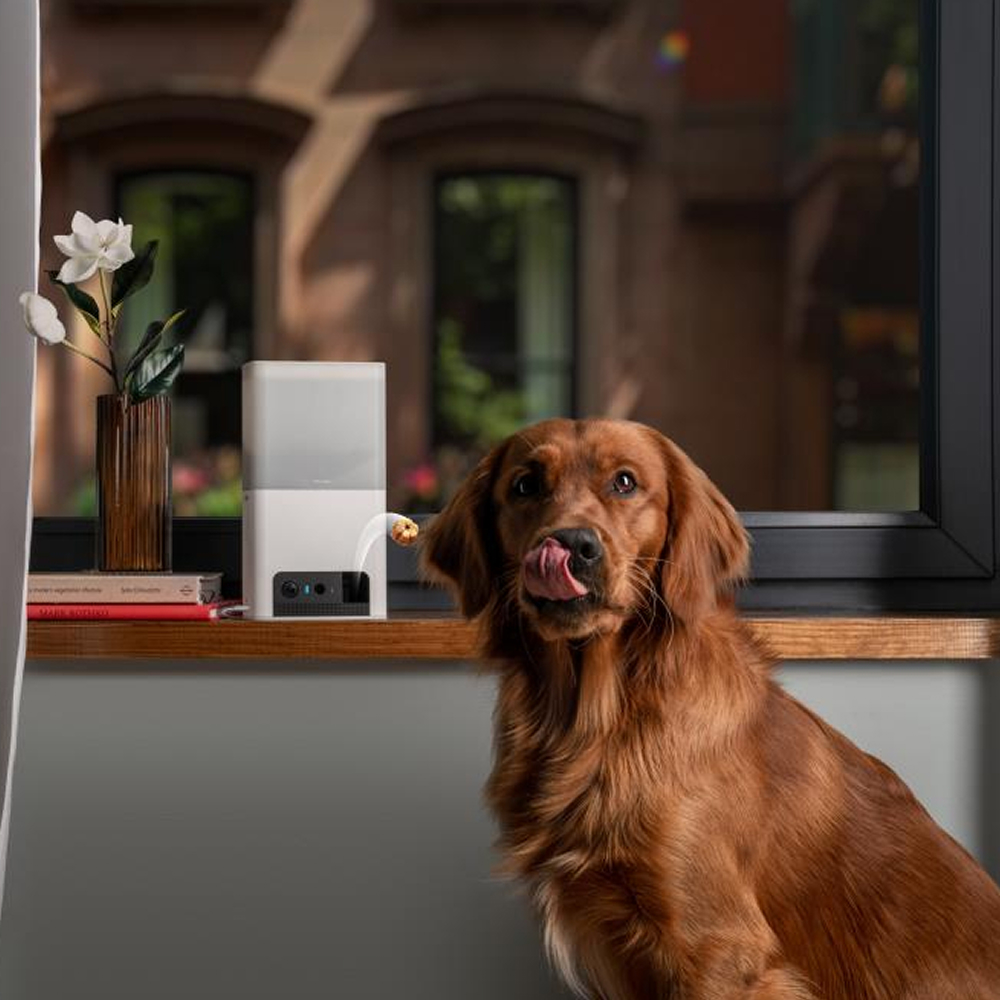 Petcube Bites 2 Lite інтерактивна HD-камера з дозатором для ласощів