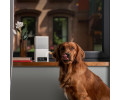 Petcube Bites 2 Lite інтерактивна HD-камера з дозатором для ласощів