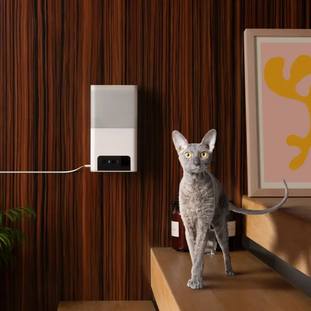 Petcube Bites 2 Lite інтерактивна HD-камера з дозатором для ласощів