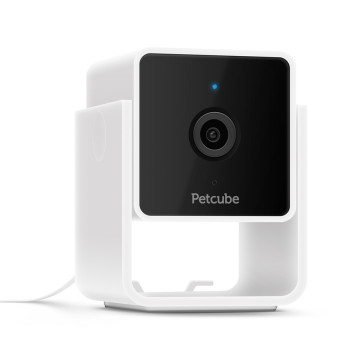 Petcube Cam компактна HD-камера з двостороннім аудіозв'язком