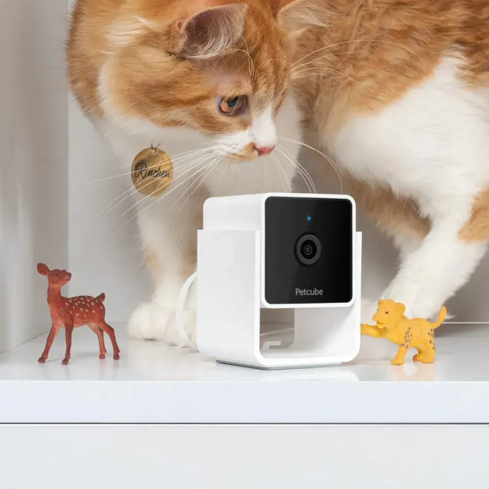 Petcube Cam компактна HD-камера з двостороннім аудіозв'язком