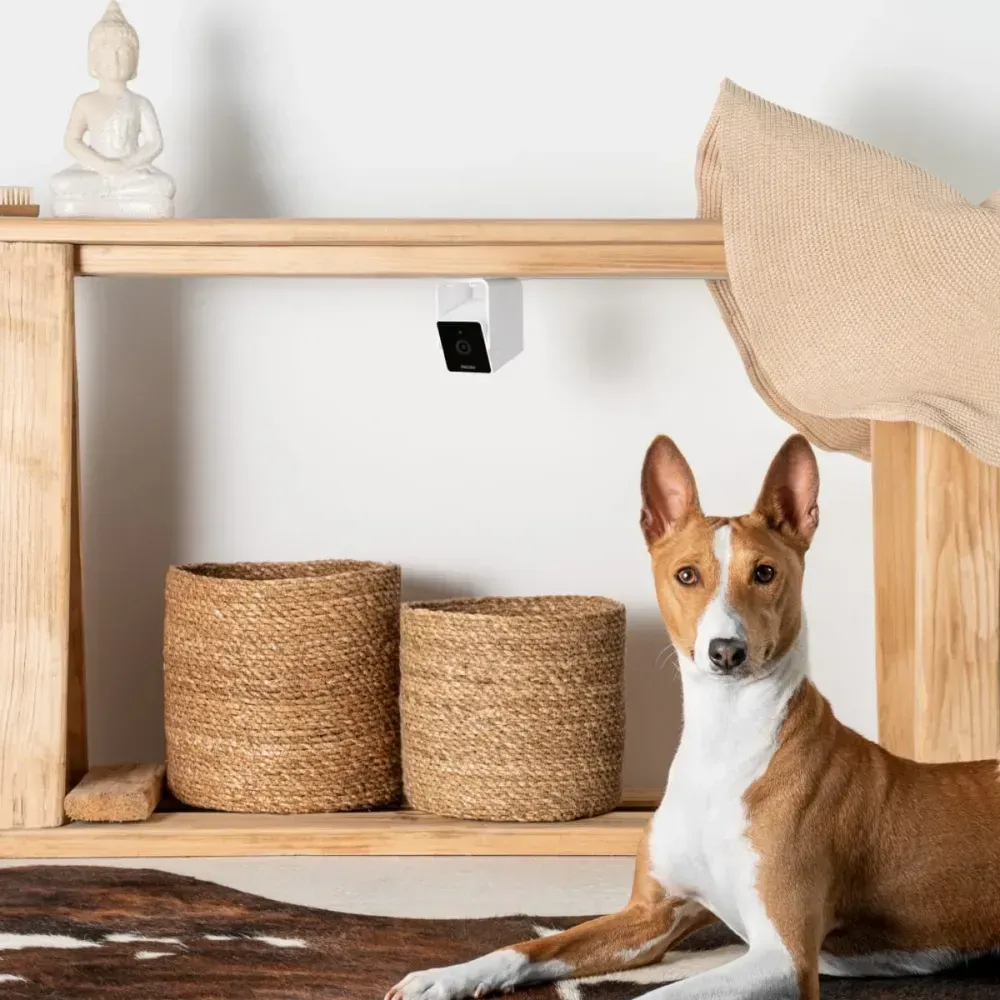 Petcube Cam компактна HD-камера з двостороннім аудіозв'язком