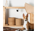Petcube Cam компактна HD-камера з двостороннім аудіозв'язком