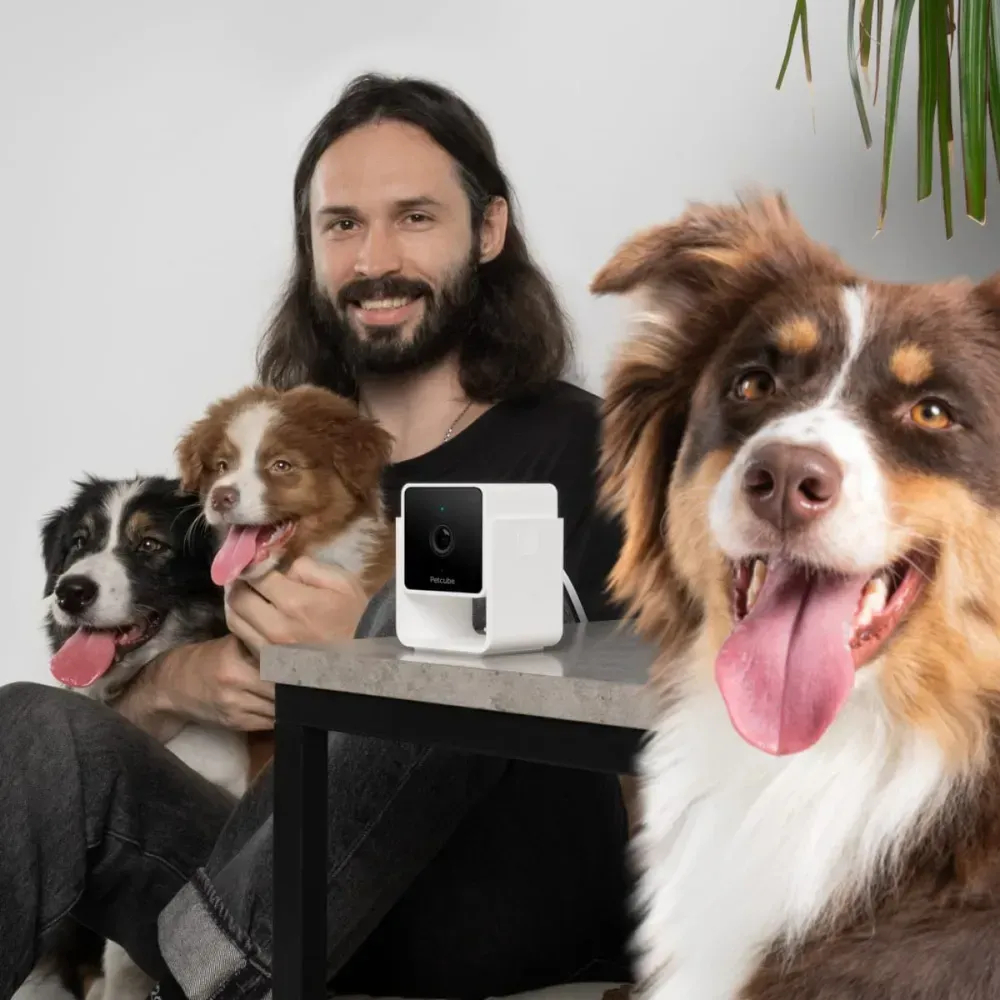 Petcube Cam компактна HD-камера з двостороннім аудіозв'язком
