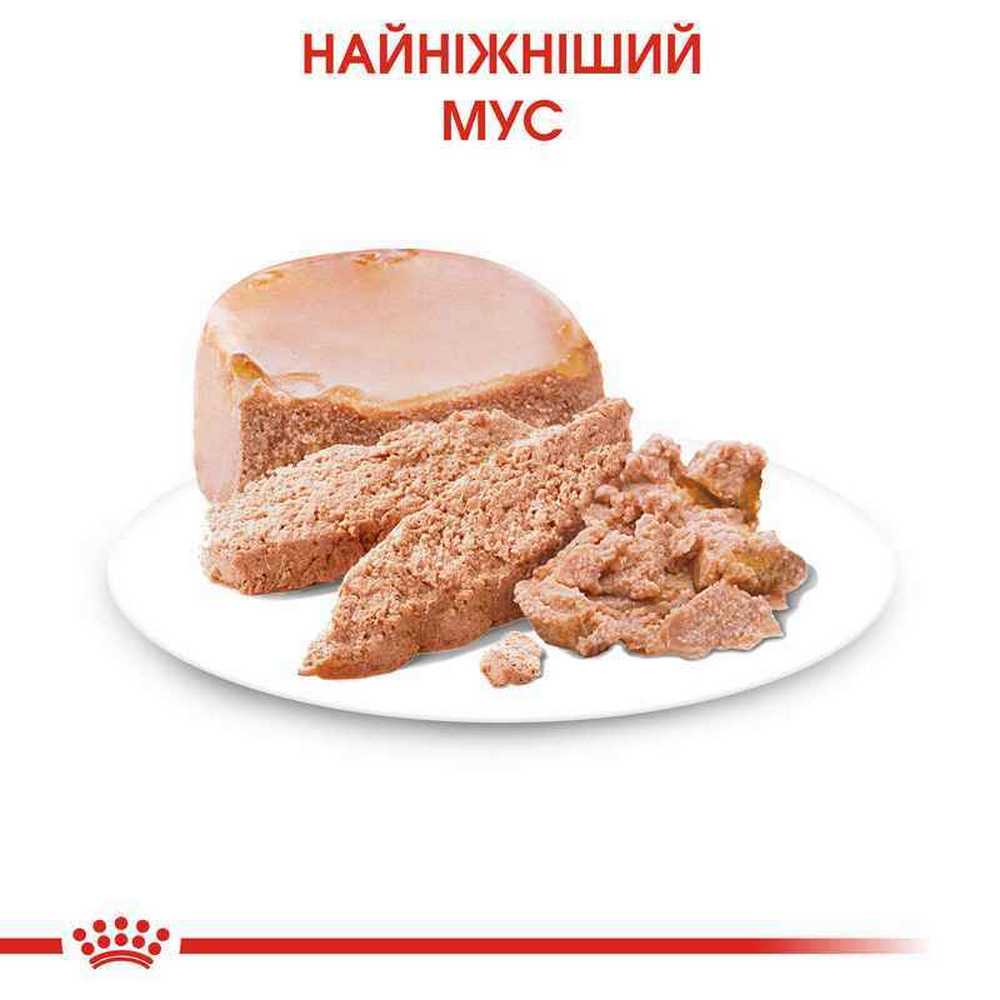 Royal Canin Starter Mousse корм для цуценят - 195 г