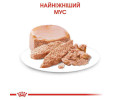 Royal Canin Starter Mousse корм для цуценят - 195 г