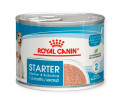 Royal Canin Starter Mousse корм для цуценят - 195 г