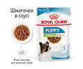 Royal Canin Xsmall Puppy вологий корм для цуценят мініатюрних порід - 85 г