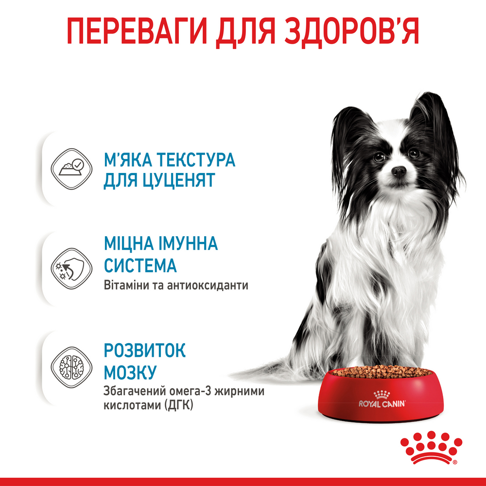 Royal Canin Xsmall Puppy вологий корм для цуценят мініатюрних порід - 85 г