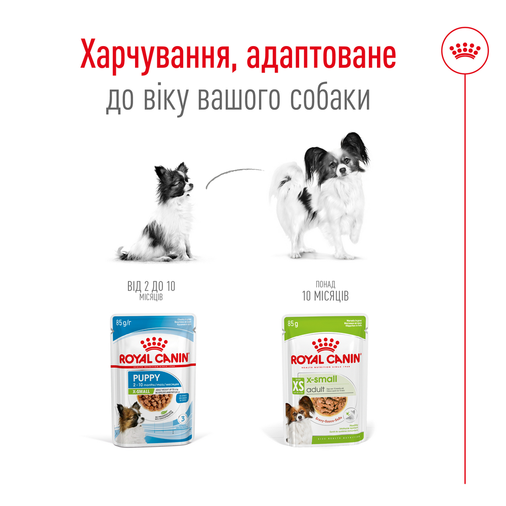Royal Canin Xsmall Adult корм для собак мініатюрних порід - 85 г