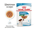 Royal Canin Mini Puppy вологий корм для цуценят малих порід - 85 г