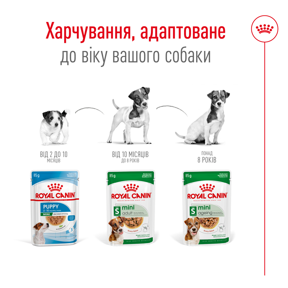 Royal Canin Mini Adult корм для собак малих - 85 г