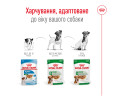Royal Canin Mini Adult корм для собак малих - 85 г