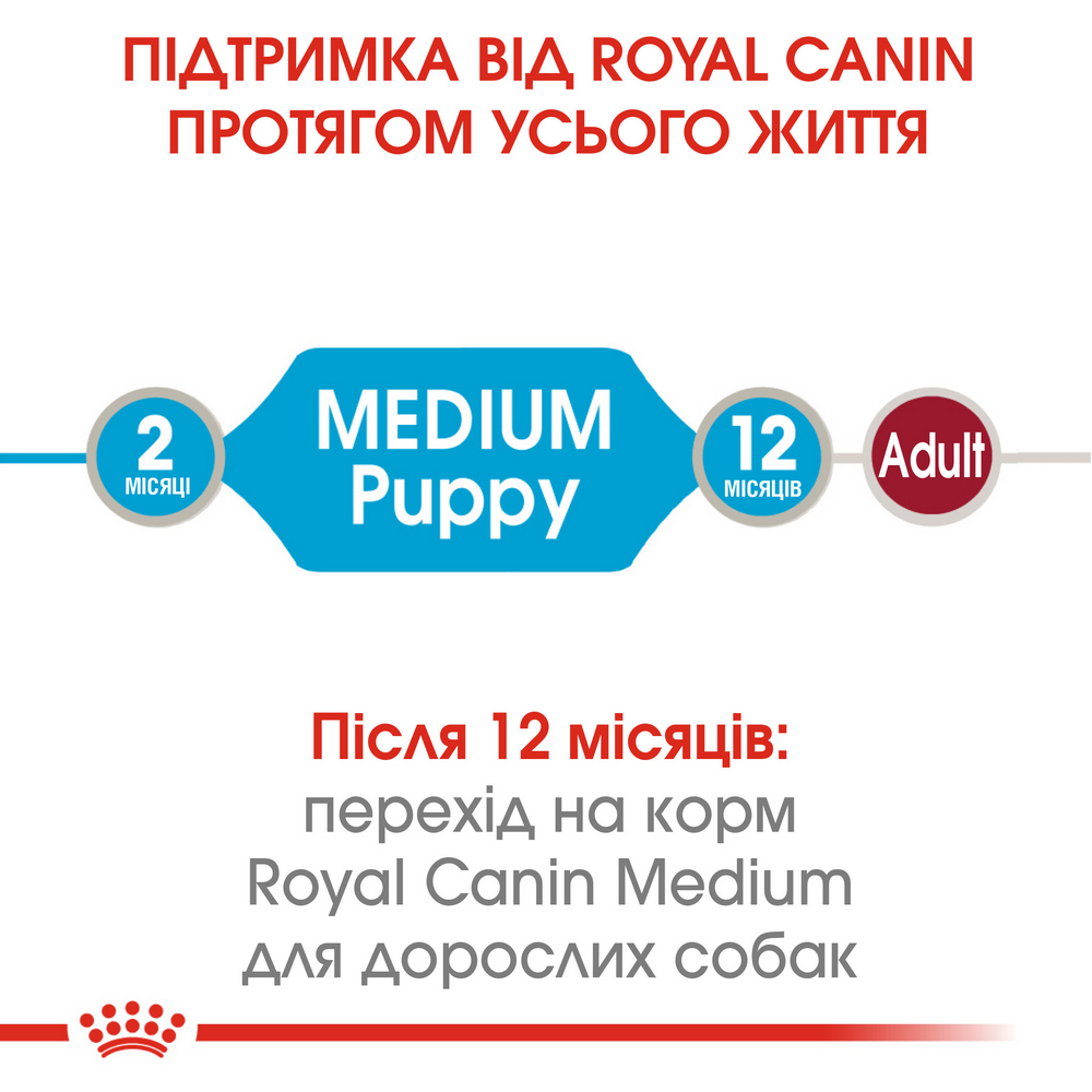 Royal Canin Medium Puppy вологий корм для цуценят середніх порід - 140 г