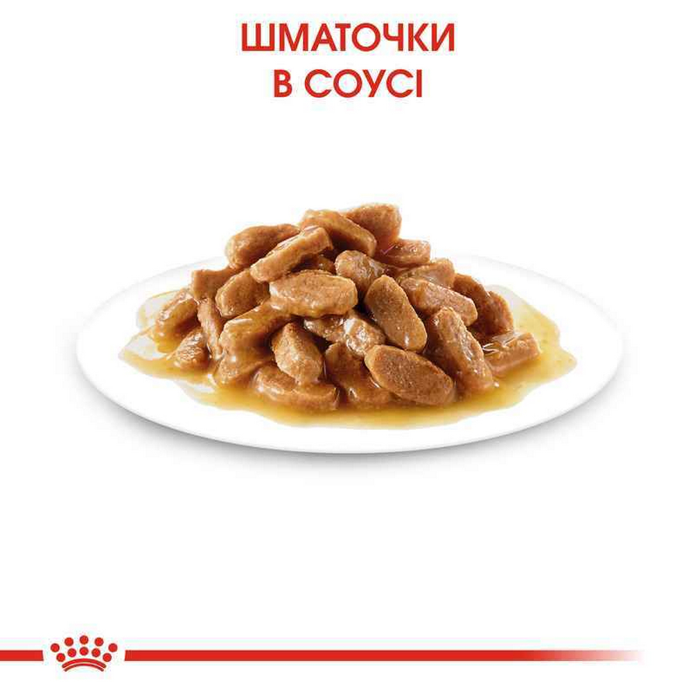 Royal Canin Medium Puppy вологий корм для цуценят середніх порід - 140 г