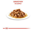 Royal Canin Medium Puppy вологий корм для цуценят середніх порід - 140 г
