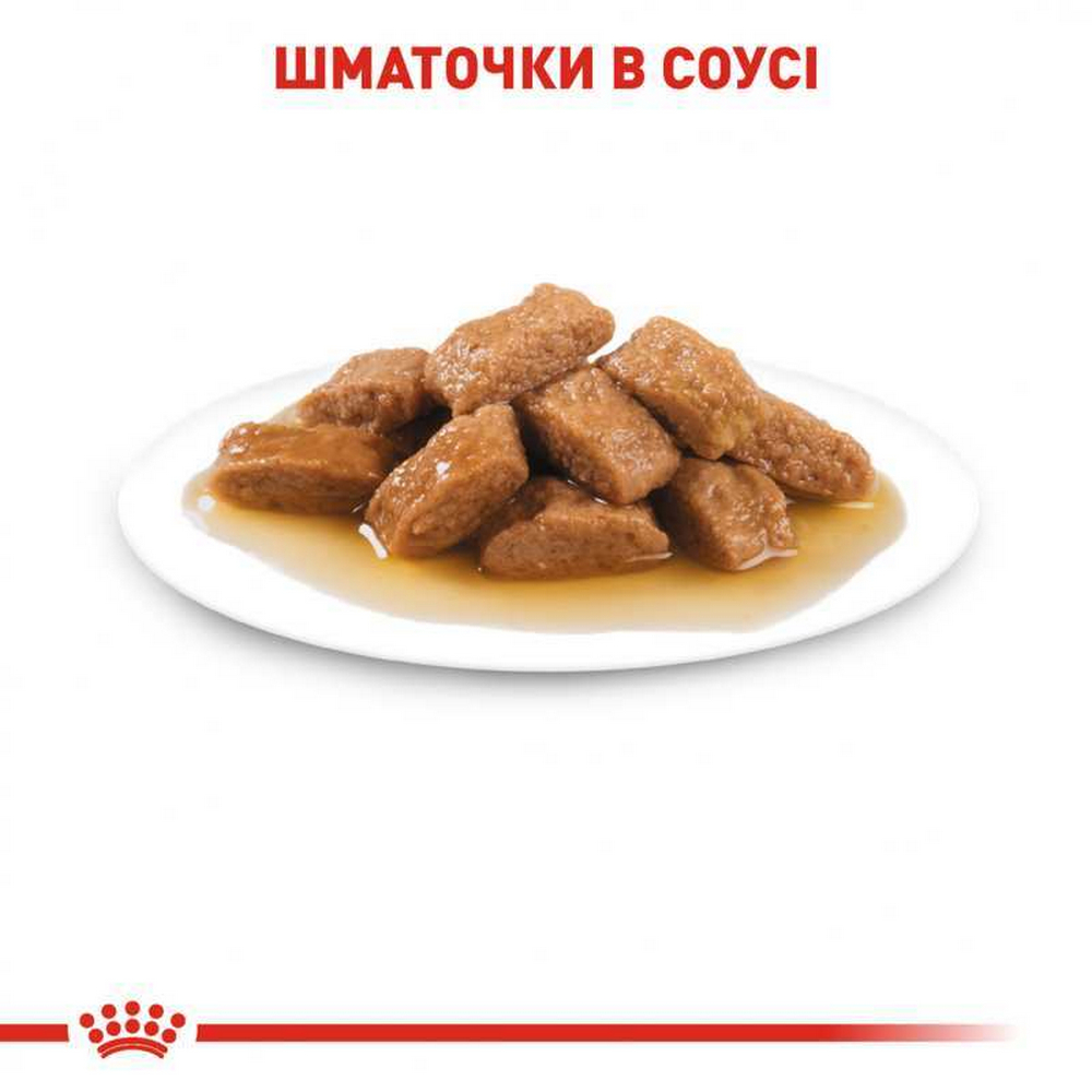 Royal Canin Medium Adult корм для собак середніх порід - 140 г