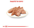 Royal Canin Poodle Adult корм для собак породи пудель - 85 г