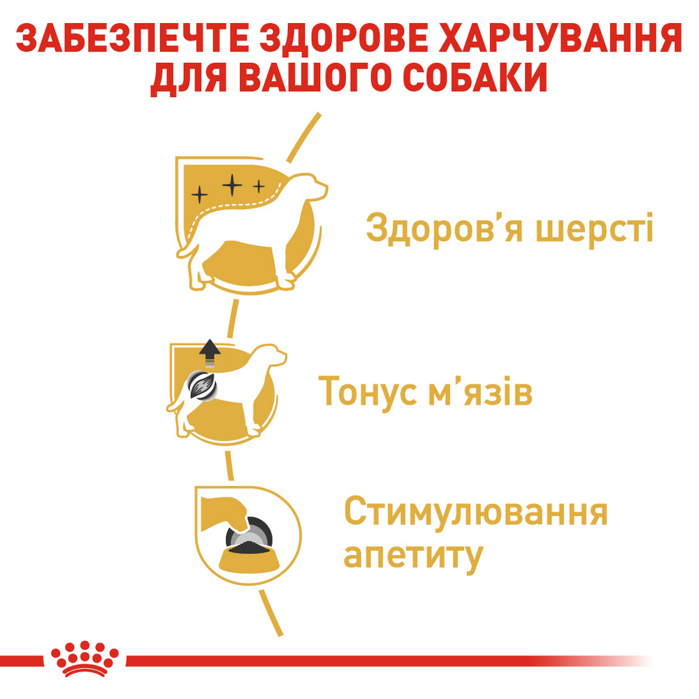Royal Canin Poodle Adult корм для собак породи пудель - 85 г