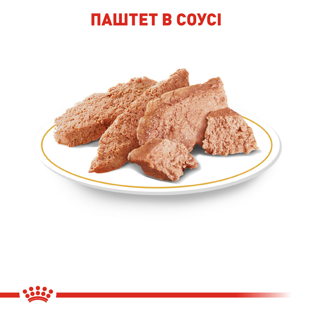 Royal Canin Chihuahua Adult корм для собак породи чихуахуа - 85 г