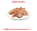 Royal Canin Chihuahua Adult корм для собак породи чихуахуа - 85 г