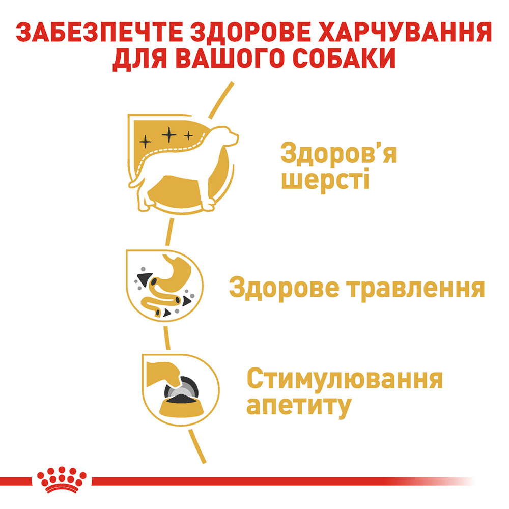 Royal Canin Chihuahua Adult корм для собак породи чихуахуа - 85 г