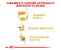 Royal Canin Chihuahua Adult корм для собак породи чихуахуа - 85 г
