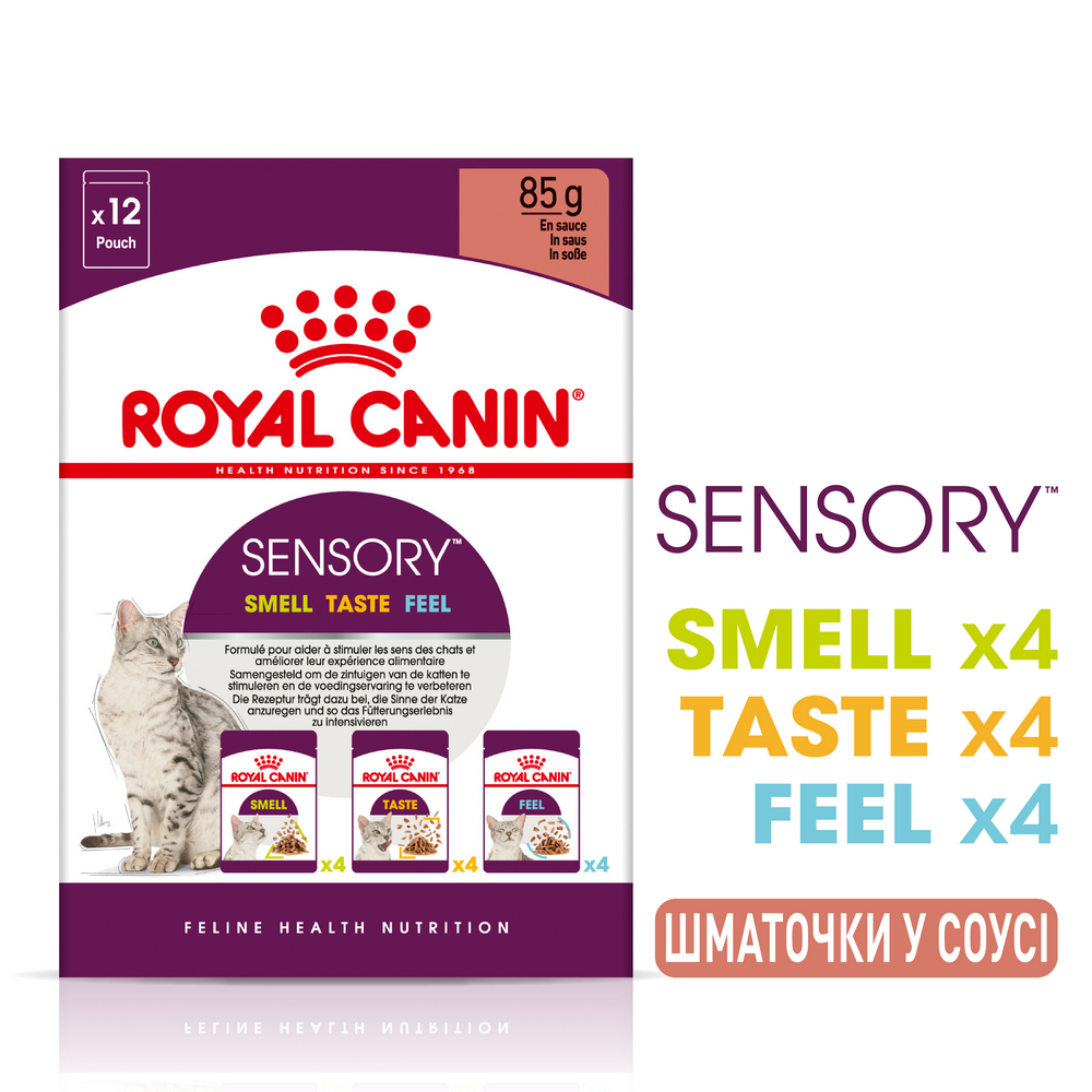 Royal Canin Sensory Multipac набір вологого корму для котів, з м'ясом та рибою - 85 г х 12 шт