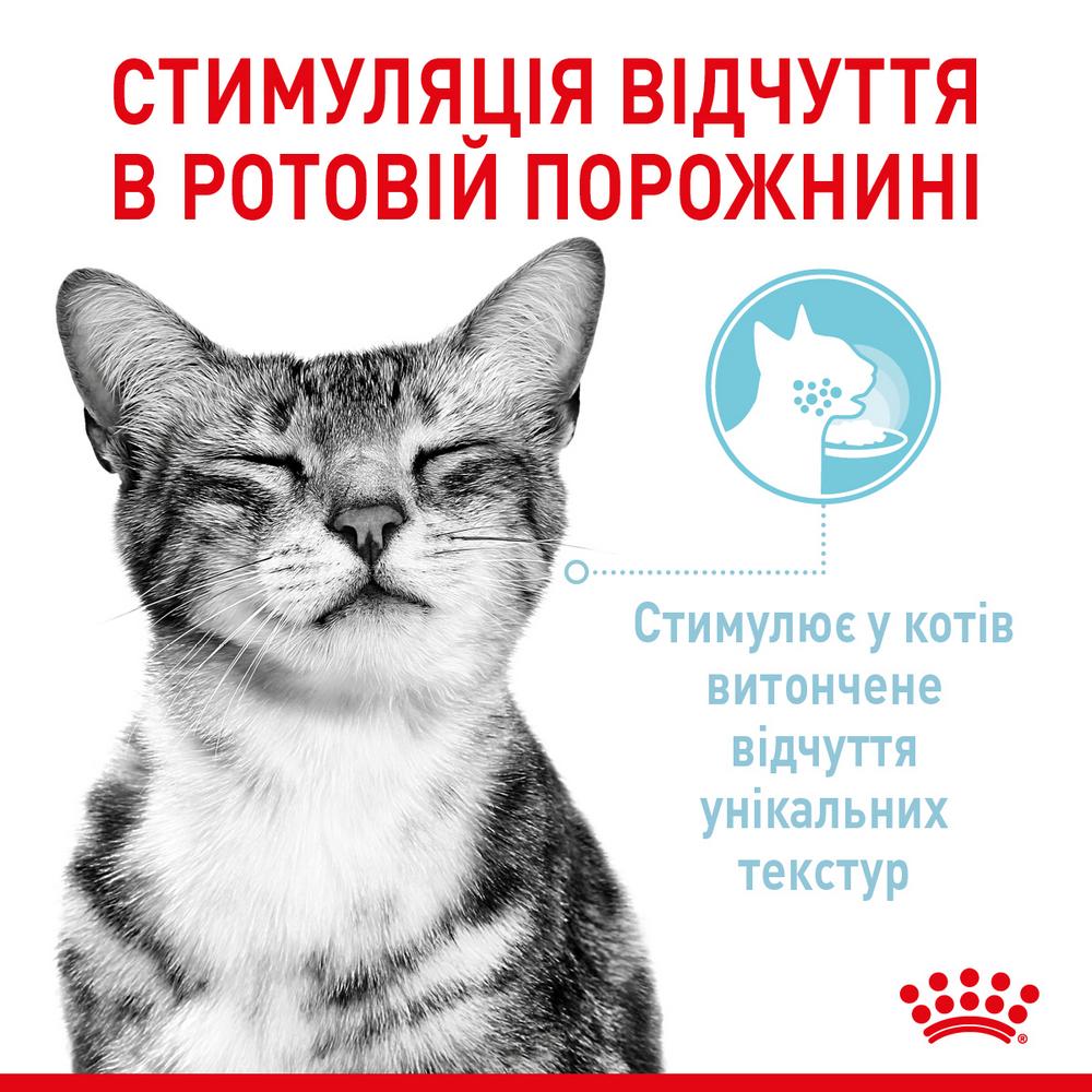 Royal Canin Sensory Multipac набір вологого корму для котів, з м'ясом та рибою - 85 г х 12 шт