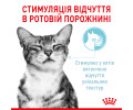 Royal Canin Sensory Multipac набір вологого корму для котів, з м'ясом та рибою - 85 г х 12 шт