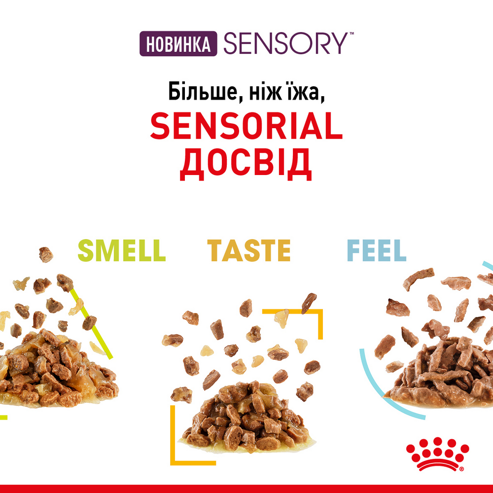 Royal Canin Sensory Multipac набір вологого корму для котів, з м'ясом та рибою - 85 г х 12 шт