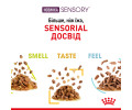 Royal Canin Sensory Multipac набір вологого корму для котів, з м'ясом та рибою - 85 г х 12 шт