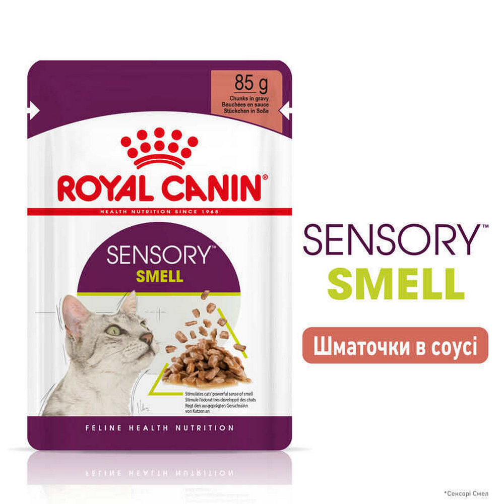 Royal Canin Sensory Smell вологий корм для стимуляції нюху котів - 85 г